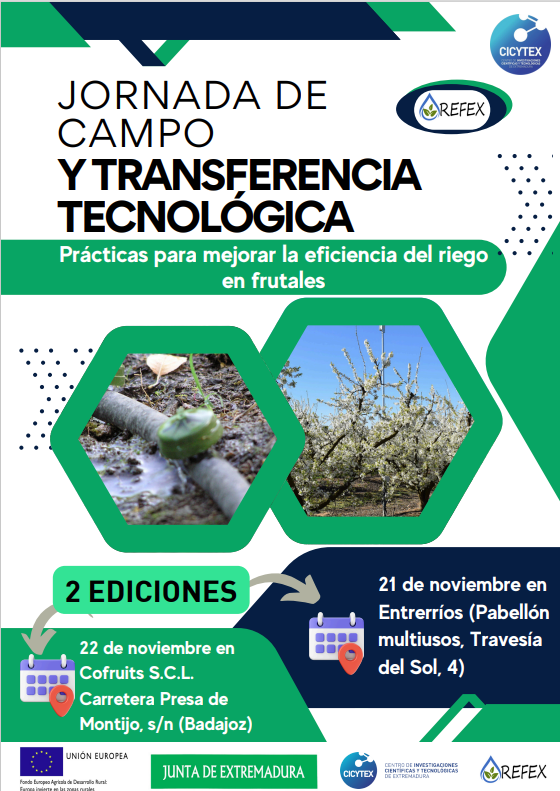 Captura%20de%20pantalla%202025-02-11%20195208 Captura%20de%20pantalla%202025-02-11%20195208